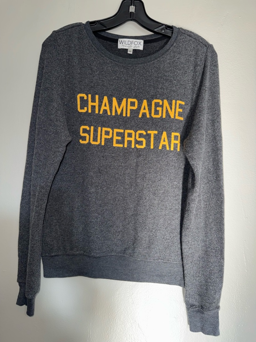 Wildfox Champagne Superstar Sweatshirt in Charcoal Gray - Picture 3 of 9